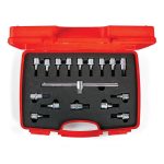 İzeltaş 1113 Lokmalı Allen Uç ve Star Torx Uç Takımı 17 parça - 1113006017