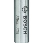 Bosch Menteşe Açma Ahşap Matkap Ucu 30 mm - 2608596976