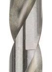 Bosch Metal Matkap Ucu HSS-G DIN 338 (Gümüş) 9,0x125 mm (1 Adet) - 2608585934
